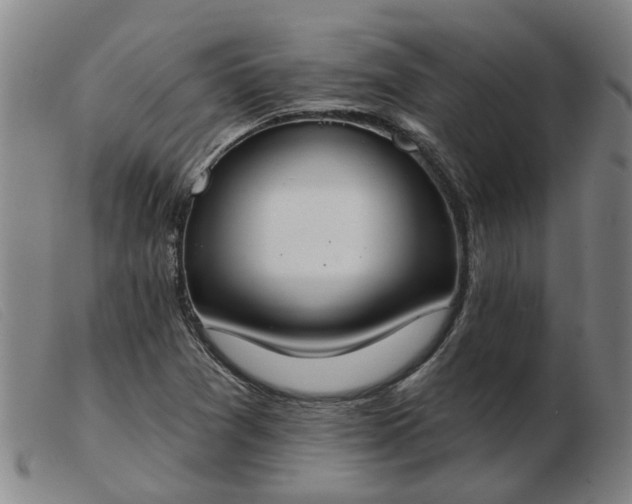 X0000103421361200809191627