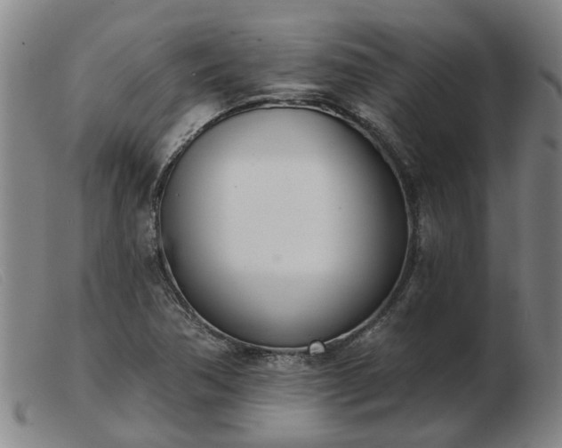 X0000103421362200809191627