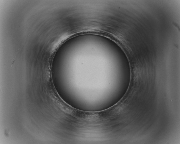 X0000103421363200809191627