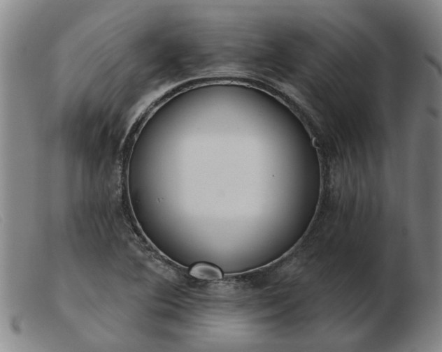 X0000103421364200809191627