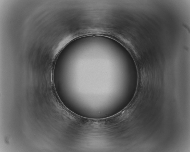 X0000103421365200809191627