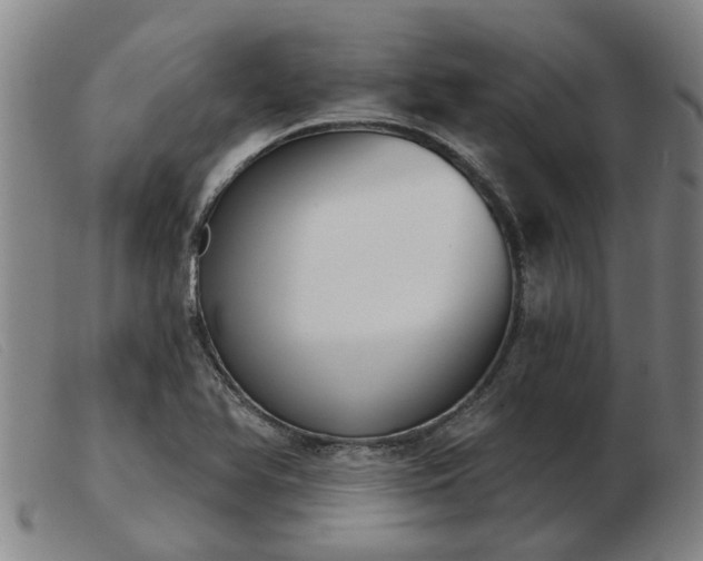 X0000103421366200809191627