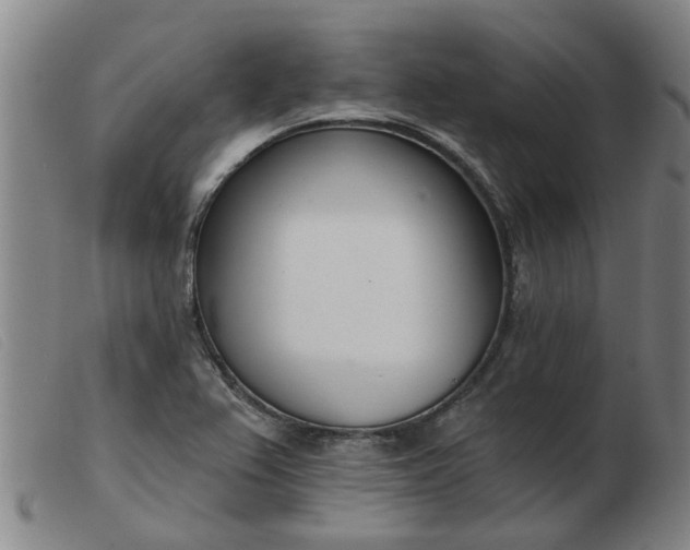 X0000103421367200809191627
