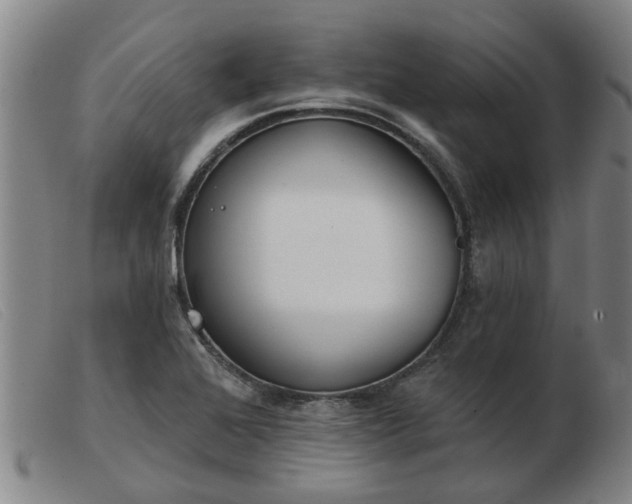 X0000103421368200809191627