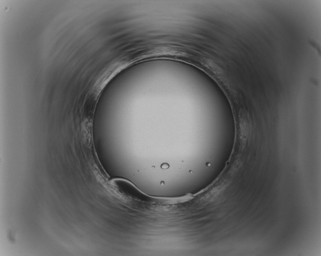 X0000103421369200809191627