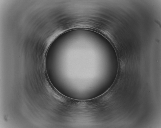 X0000103421371200809191627