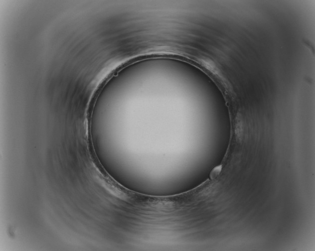 X0000103421372200809191627