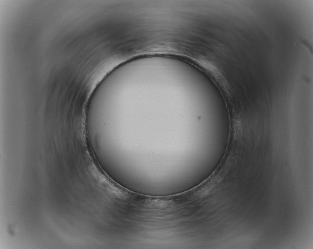 X0000103421374200809191627