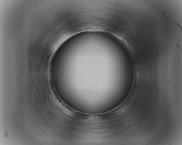 X0000103421375200809191627