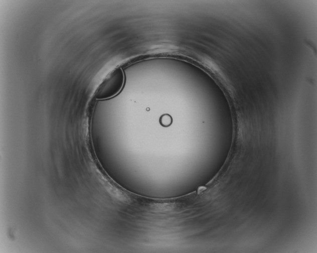 X0000103421376200809191627