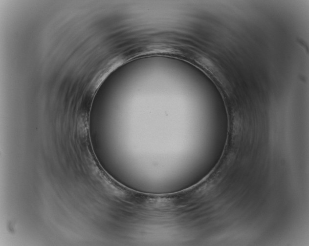 X0000103421377200809191627