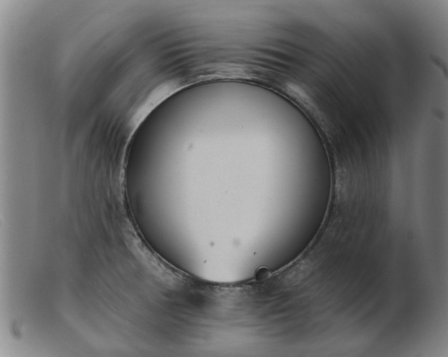 X0000103421378200809191627
