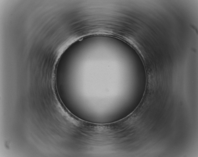 X0000103421379200809191627
