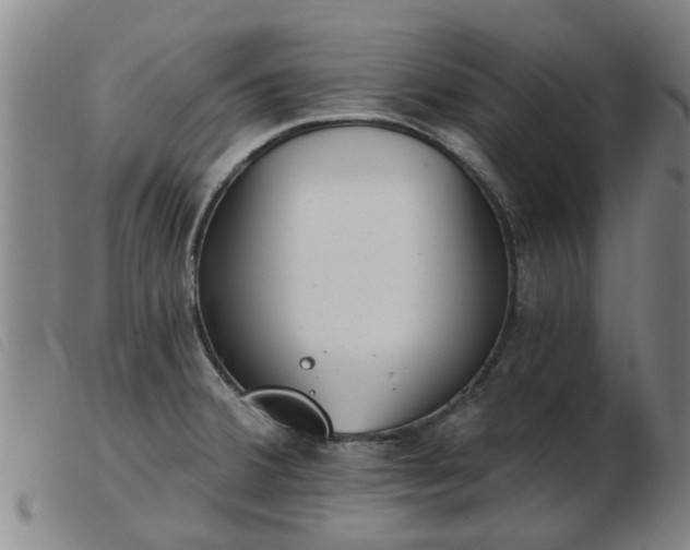 X0000103421380200809191627