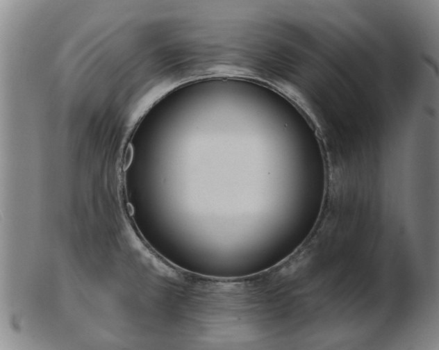 X0000103421381200809191627