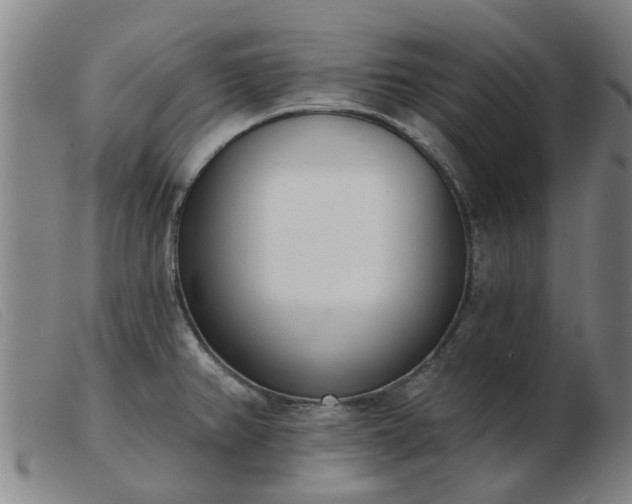 X0000103421382200809191627