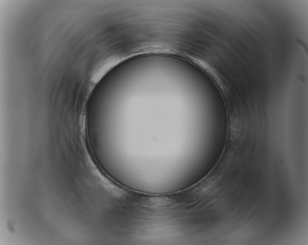 X0000103421383200809191627