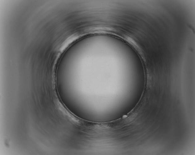 X0000103421384200809191627