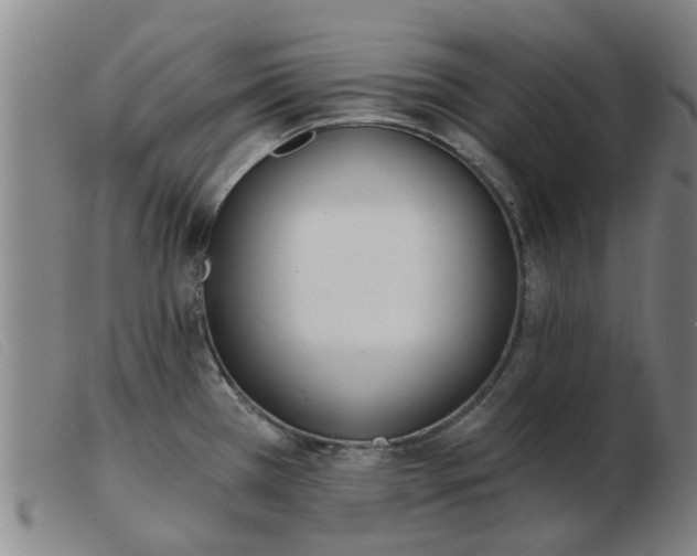 X0000103421385200809191627