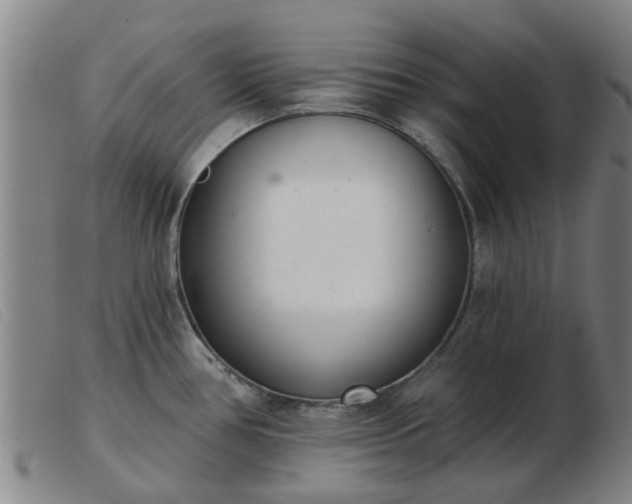 X0000103421386200809191627