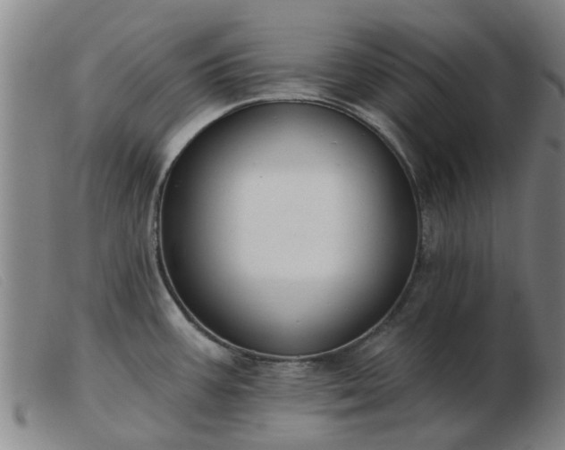 X0000103421387200809191627
