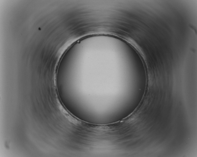 X0000103421388200809191627