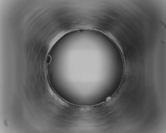 X0000103421389200809191627