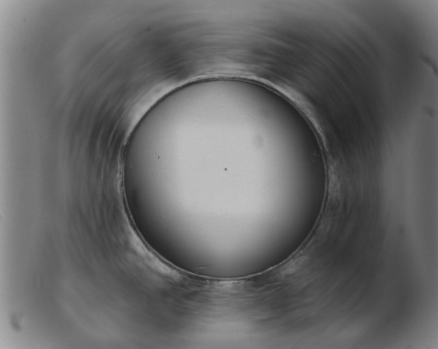 X0000103421390200809191627