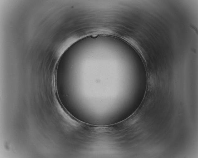 X0000103421391200809191627