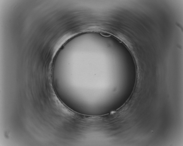 X0000103421392200809191627