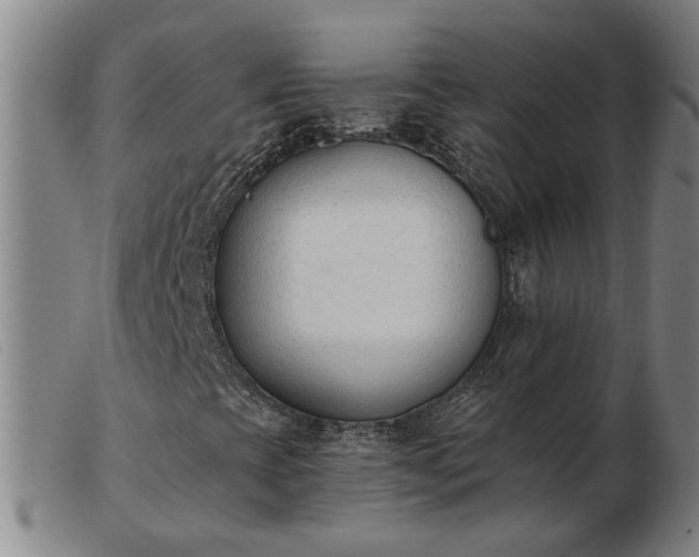 X0000103421393200809191626