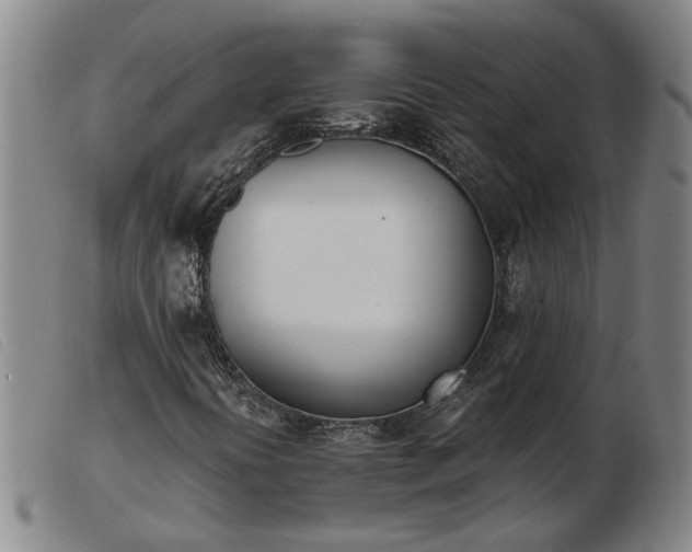 X0000103421394200809191626