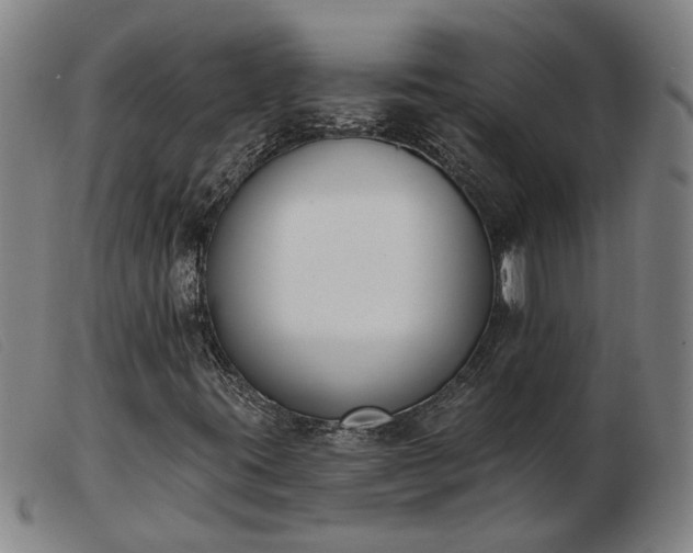X0000103421395200809191626