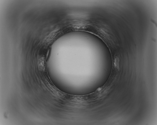 X0000103421396200809191626