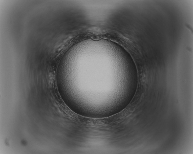 X0000103421397200809191626