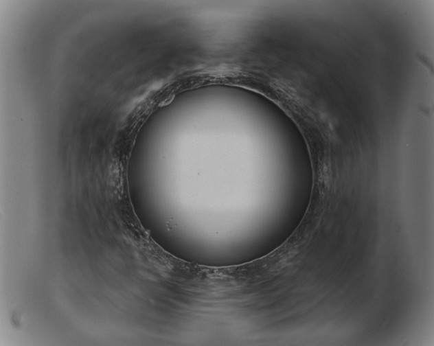 X0000103421398200809191626