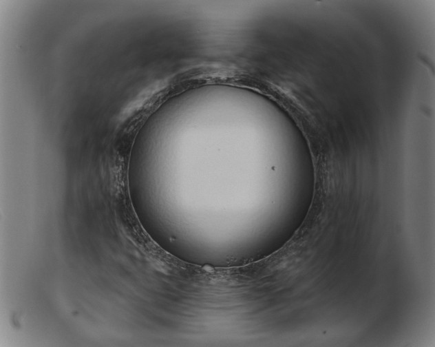 X0000103421399200809191626