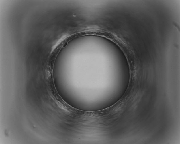 X0000103421400200809191626