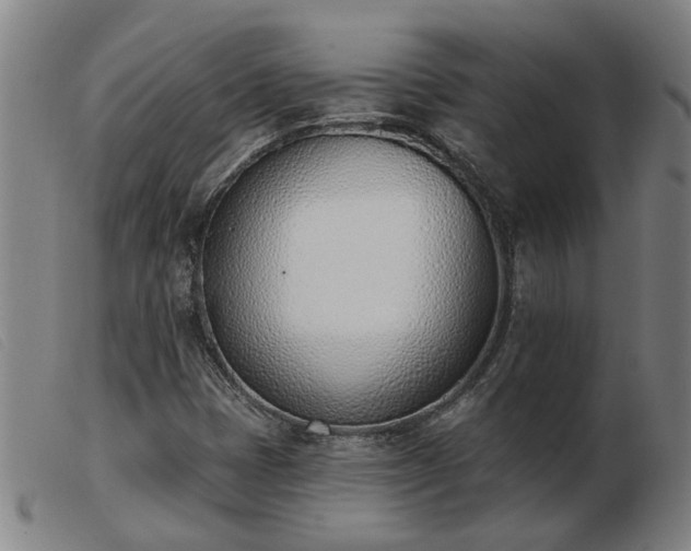 X0000103421401200809191626