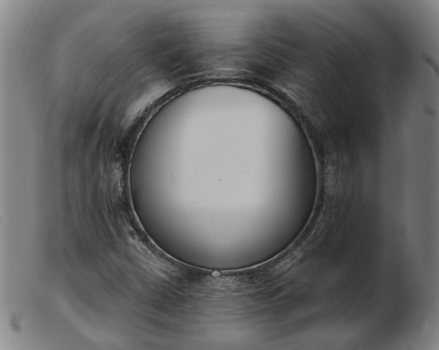 X0000103421402200809191626