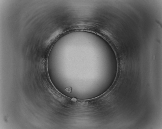 X0000103421403200809191626