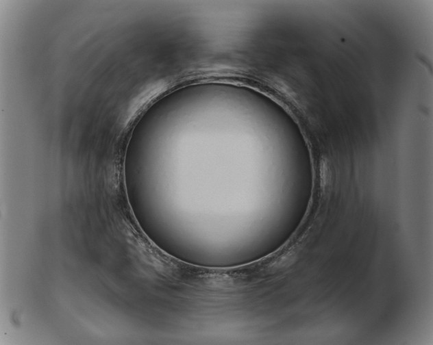 X0000103421405200809191626