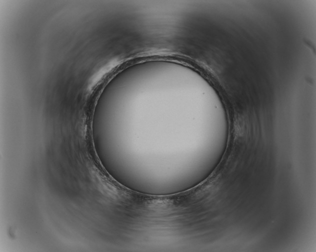 X0000103421406200809191626