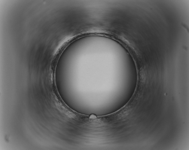 X0000103421408200809191627