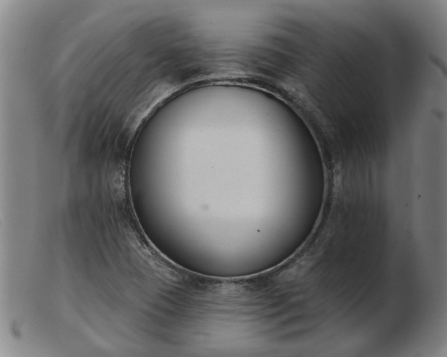 X0000103421409200809191627