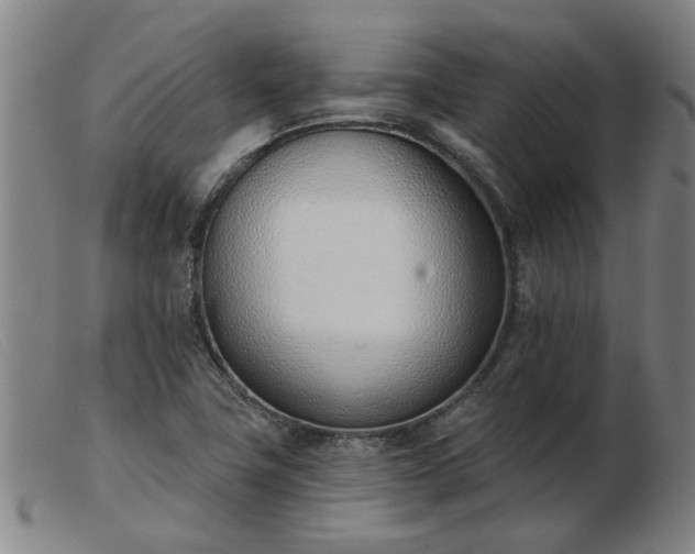 X0000103421411200809191627