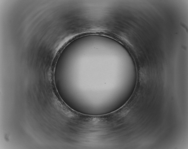 X0000103421412200809191627
