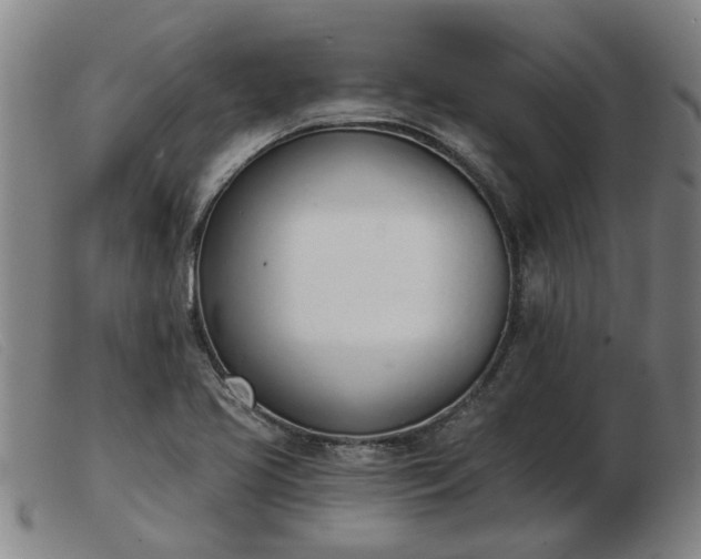X0000103421413200809191627