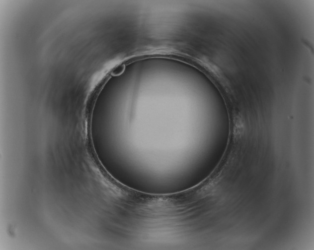 X0000103421414200809191627