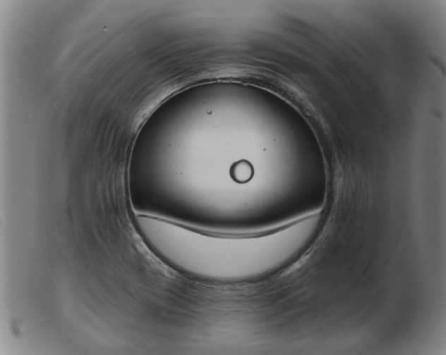 X0000103421417200809191627
